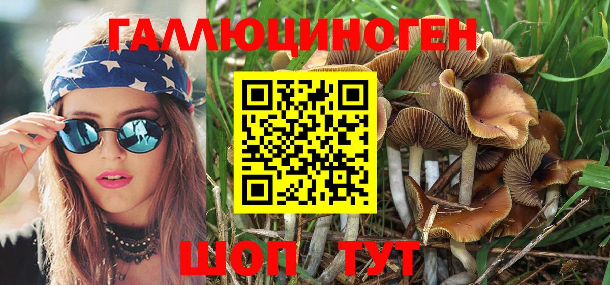 Псилоцибиновые грибы Psilocybine cubensis Скопин