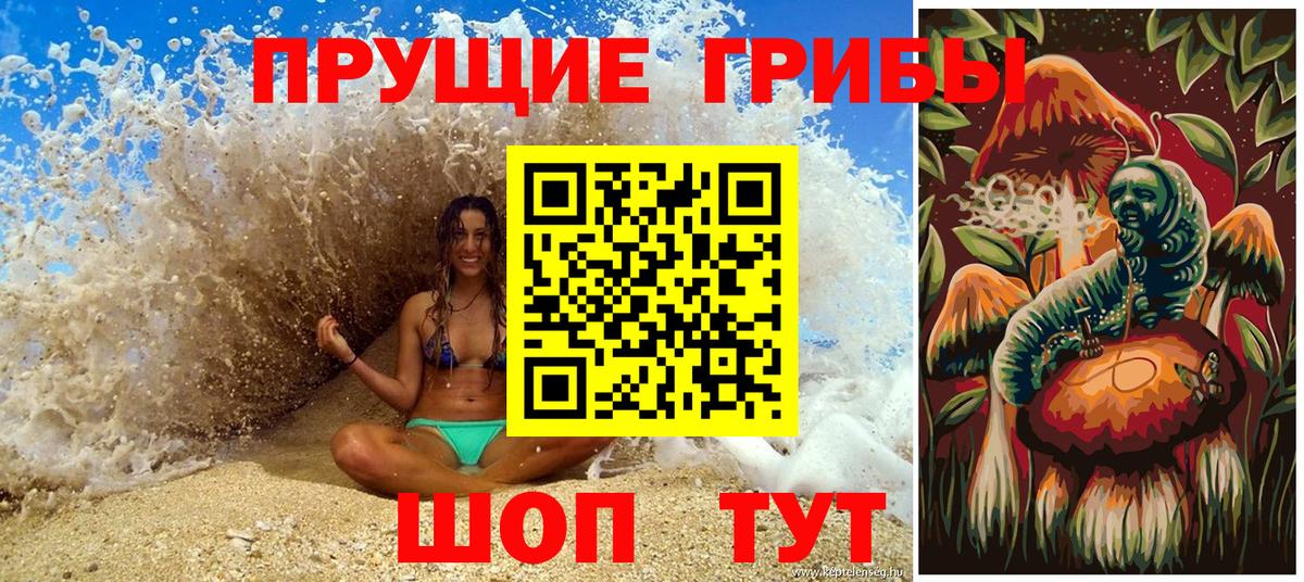 Скопин  наркошоп  Вход с VPN  Галлюциногенные грибы Psilocybine cubensis 